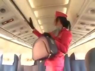 Seksowne stewardessa ssanie kutas przed nieprofesjonalny