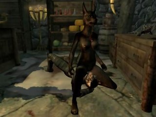 Skyrim - Animated Prostitution - Part 3 (Vaalsark - F)