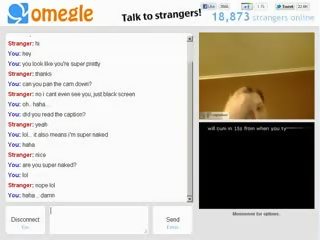 Hot married chick plays with tits on omegle