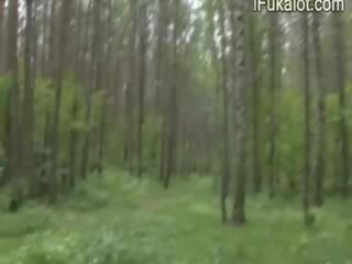 Venkovní roubíky čurák v the lesní