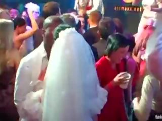 Superb uzbudinātas brides zīst liels gaiļus uz publisks